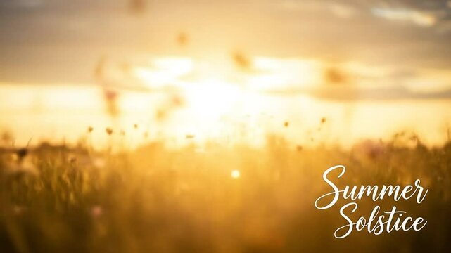 Golden hour photograph of a peaceful wildflower field basking in the warm glow of the summer solstice sunset. 4K footage