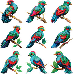 colorful birds on branches vector illustration