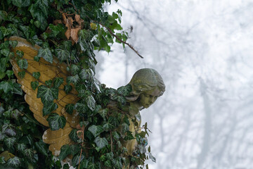 Misty park. An angel with a bowed head. The body and wings hides in ivy thickets (concept of death)