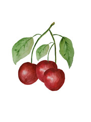 cherries on a white background
