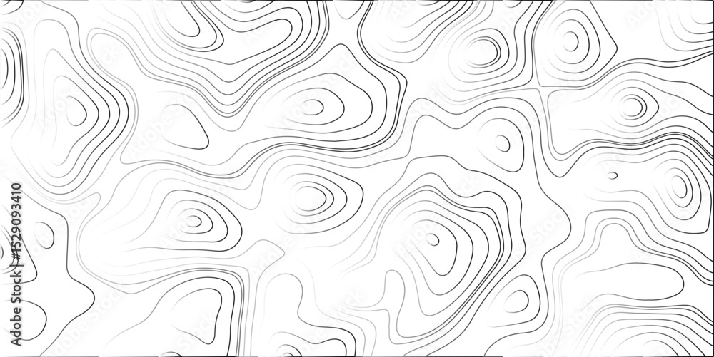 Poster abstract monochrome topography map illustration features contour lines depicting a digital landscape