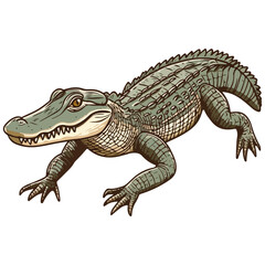 Obraz premium crocodile, reptile, vector, transparent background, creature, animal, isolated, nature, alligator, amphibian, wildlife, zoo