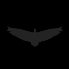 silhouette icon of an eagle flying without background