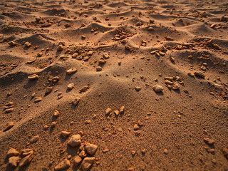 Textured Earth Foundation