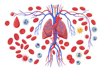 Human circulatory system cartoon Red blood cells heart lungs vessels viruses