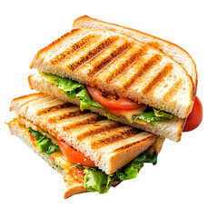 Panini sandwich bundle