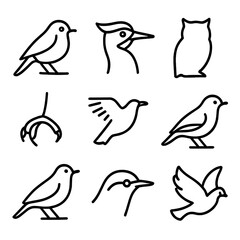 Fototapeta premium Forest Bird Icons. Outline icon set of forest birds: robin perched, woodpecker head, owl silhouette, hawk talon, crow wings,