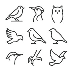 Forest Bird Icons. Outline icon set of forest birds: robin perched, woodpecker head, owl silhouette, hawk talon, crow wings,