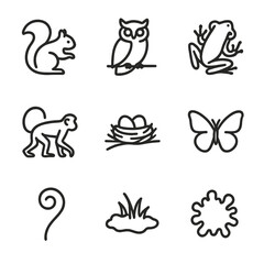 Fototapeta premium Forest Wildlife Icons. Outline icon set of forest wildlife in canopy: squirrel silhouette, owl perch, tree frog, monkey outline,