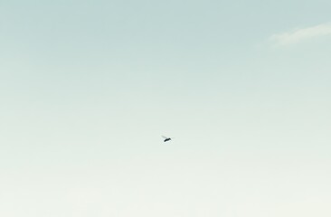 A small, dark object floats in a pale, clear sky