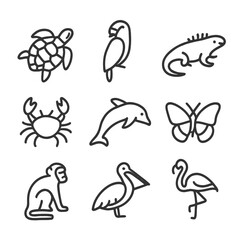 Island Fauna Icons. Outline icon set of island fauna: sea turtle, parrot, iguana, crab, dolphin, butterfly, monkey, pelican,