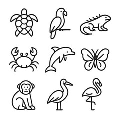Obraz premium Island Fauna Icons. Outline icon set of island fauna: sea turtle, parrot, iguana, crab, dolphin, butterfly, monkey, pelican,