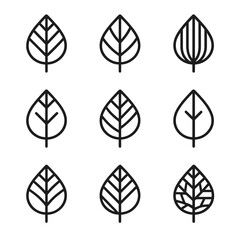 Fototapeta premium Leaf Vein Icons. Outline icon set of leaf vein patterns: pinnate vein, palmate vein, parallel vein, dichotomous vein, reticulate