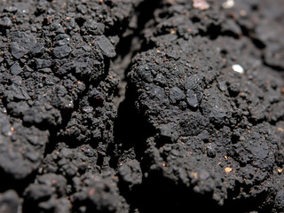 Volcanic Scoria Texture