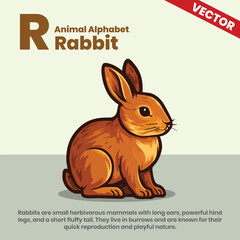 Rabbit animal alphabets A to Z vector style infographic including explanation