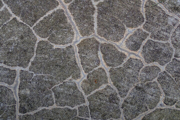 Cracked concrete surface with organic pattern resembling natural textures. Abstract detail ideal for backgrounds, textures, or construction-themed designs
