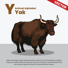 Yak animal alphabets A to Z vector style infographic including explanation