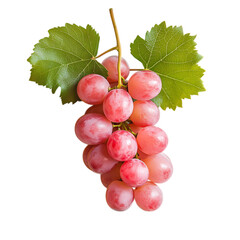 Pink grapes and leaves