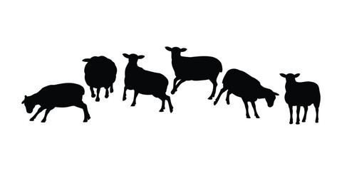 Farm Sheep Silhouettes – Vector Clipart of Domestic Sheep in Different Poses