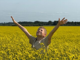 Smiling boy standing in yellow blooming rapeseed field with arms wide open under blue sky. Pure...