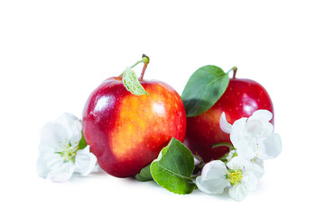 Red juicy apples with flowers and leaves. Isolated on white background.