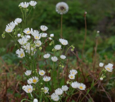 the various aspects of beautiful nature