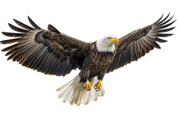 Naklejka premium Powerful bald eagle in flight isolated on white background, great for wildlife concepts and branding