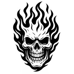 skull with a skull