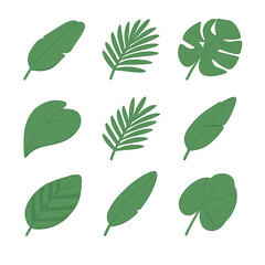 Isometric Tropical Leaf Icons. Isometric Flat icon set of tropical plant leaves: banana leaf, palm leaf, monstera leaf,
