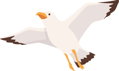 Flying Seagull Bird Illustration