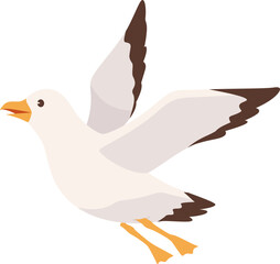 Flying Seagull Bird Illustration