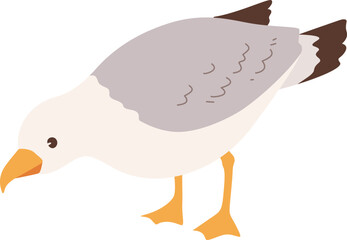 Seagull Bird Illustration