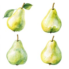 Four Watercolor Pears In Different Shades Of Green And Yellow