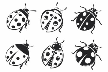 set of different insects