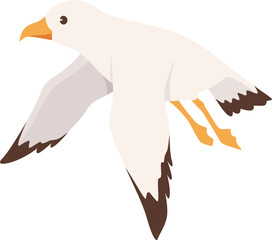 Flying Seagull Bird Illustration