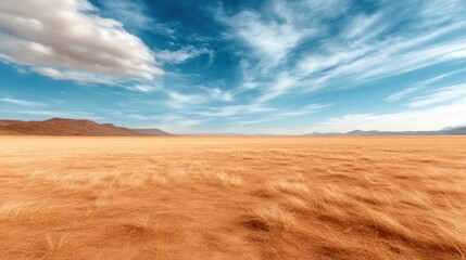 Fototapeta premium A vast, golden field stretching towards the horizon, adorned by a beautiful sky filled with dramatic clouds, evoking a sense of freedom and the natural beauty of open landscapes.