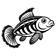 fish vector illustration