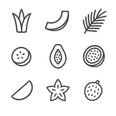 Tropical Garnish Icons. Outline icon set of tropical garnishes: pineapple leaf, coconut wedge, palm frond, banana chip, papaya