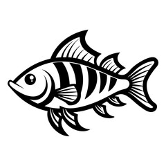 fish vector illustration