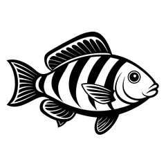 fish vector illustration