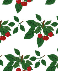 image of cherry branch on white background, loop.