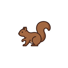 squirrel with nut