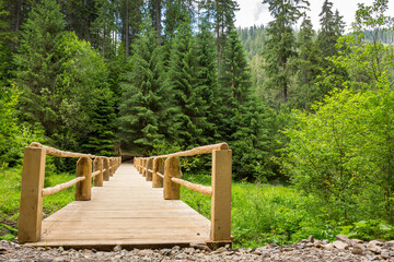 wooden bridge stretching into the depths of the coniferous forest. path over stream in summer. outdoor adventure. scenery in synevyr national park on a cloudy day