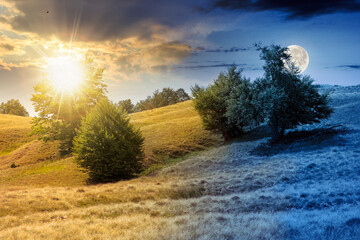 beech forest on the grassy hill. day and night time change concept. alpine scenery with trees in lush leaves. primeval woods under sky with sun and moon at twilight