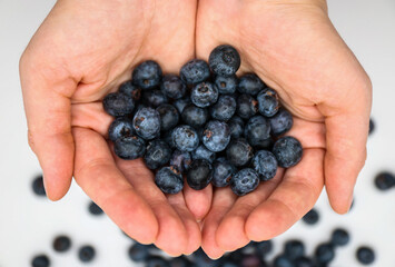 woman hand holding fresh blueberries on white background. healthy eating
