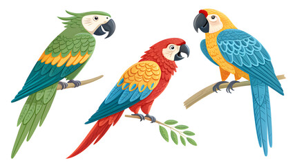 Fototapeta premium Tropical parrots collection. Vector isolated elements on the white background