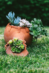 Full vertical shot of rustic terracotta pot with vibrant succulents on green grass, expressing calm living, emotional grounding, sustainability and imperfect natural beauty.