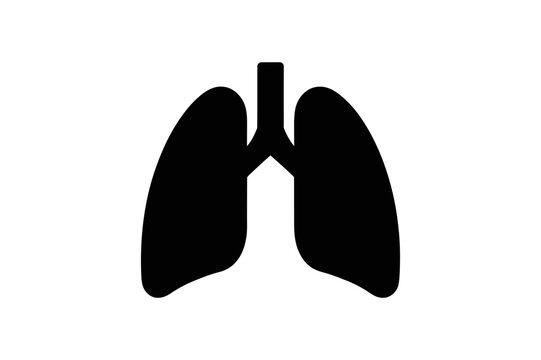 Human lung anatomy respiratory system health icon