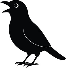 vector illustration of a Black Cowbird