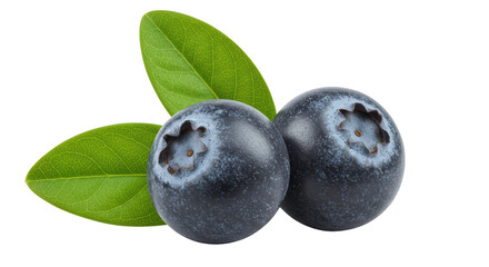 Isolated Blueberries